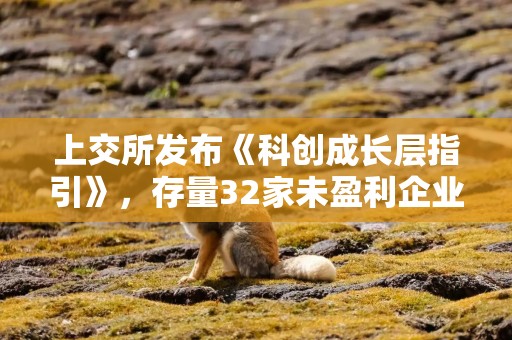 上交所发布《科创成长层指引》，存量32家未盈利企业即日起进入科创成长层