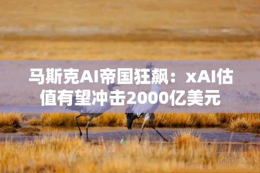 马斯克AI帝国狂飙：xAI估值有望冲击2000亿美元