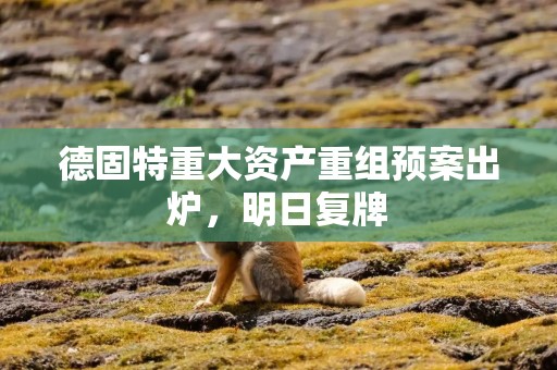 德固特重大资产重组预案出炉，明日复牌