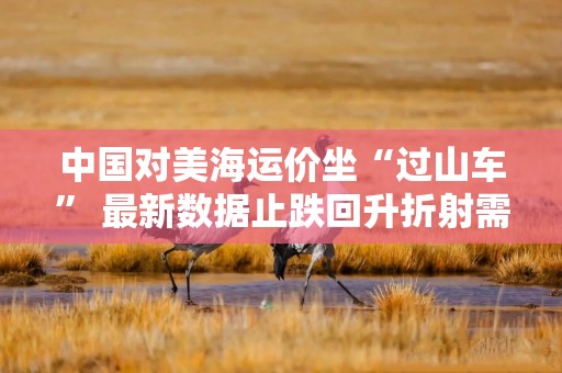 中国对美海运价坐“过山车” 最新数据止跌回升折射需求变化