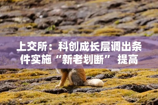 上交所：科创成长层调出条件实施“新老划断” 提高新注册未盈利企业调出条件