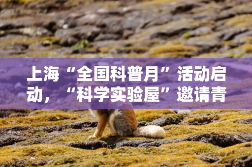 上海“全国科普月”活动启动，“科学实验屋”邀请青少年互动体验