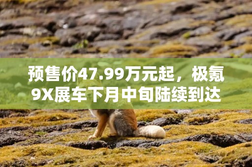 预售价47.99万元起，极氪9X展车下月中旬陆续到达全国门店