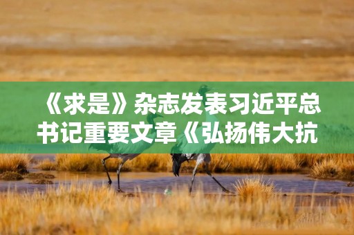 《求是》杂志发表习近平总书记重要文章《弘扬伟大抗战精神，向着中华民族伟大复兴的光辉彼岸奋勇前进》