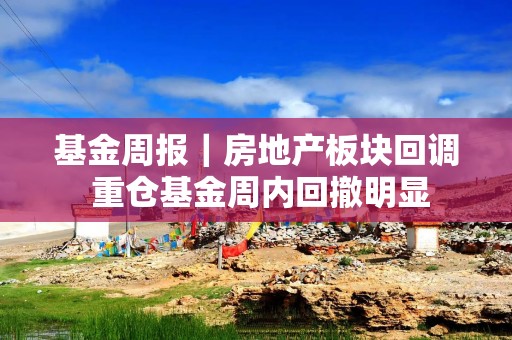 基金周报｜房地产板块回调 重仓基金周内回撤明显