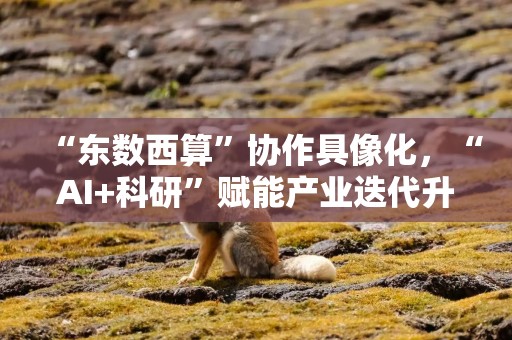 “东数西算”协作具像化，“AI+科研”赋能产业迭代升级