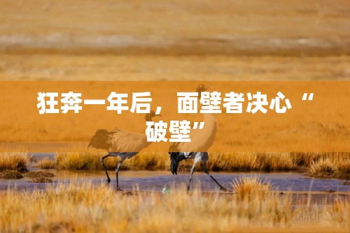 狂奔一年后，面壁者决心“破壁”