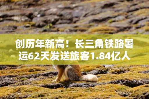 创历年新高！长三角铁路暑运62天发送旅客1.84亿人次