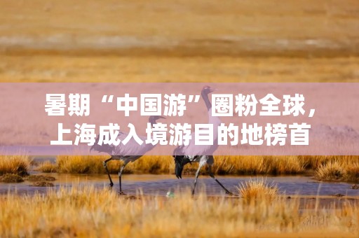 暑期“中国游”圈粉全球，上海成入境游目的地榜首