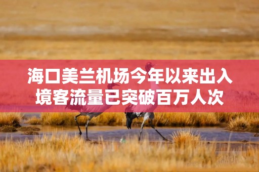 海口美兰机场今年以来出入境客流量已突破百万人次