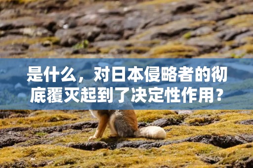 是什么，对日本侵略者的彻底覆灭起到了决定性作用？