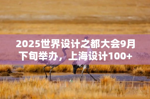 2025世界设计之都大会9月下旬举办，上海设计100+专题展品亮相