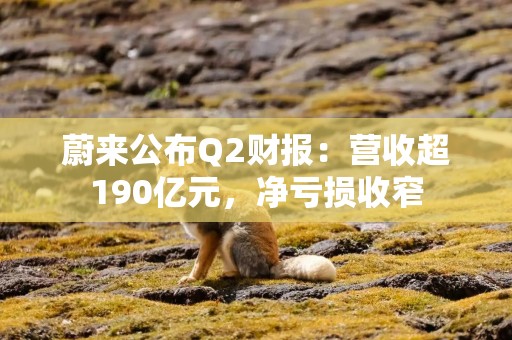 蔚来公布Q2财报：营收超190亿元，净亏损收窄