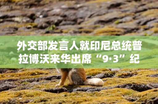 外交部发言人就印尼总统普拉博沃来华出席“9·3”纪念活动答记者问