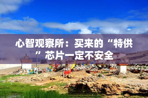 心智观察所：买来的“特供”芯片一定不安全