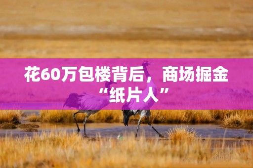 花60万包楼背后，商场掘金“纸片人”