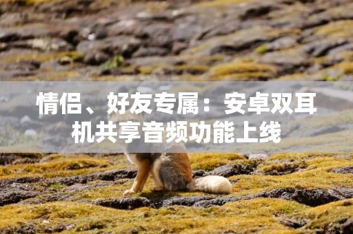 情侣、好友专属：安卓双耳机共享音频功能上线