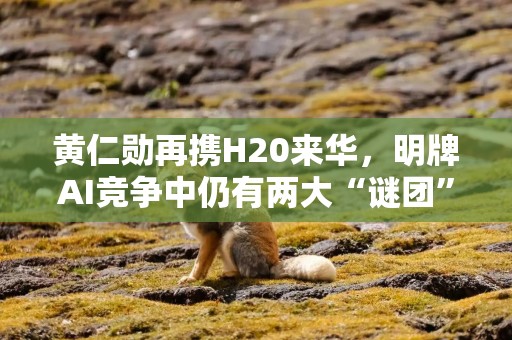 黄仁勋再携H20来华，明牌AI竞争中仍有两大“谜团”