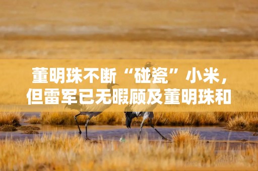 董明珠不断“碰瓷”小米，但雷军已无暇顾及董明珠和格力了