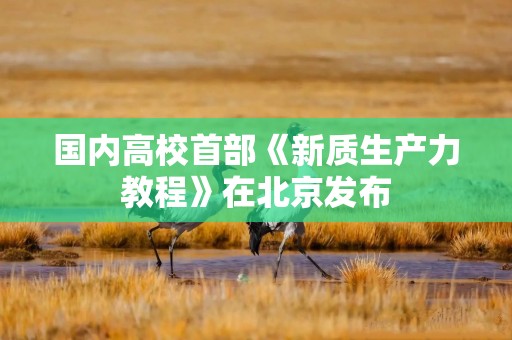 国内高校首部《新质生产力教程》在北京发布