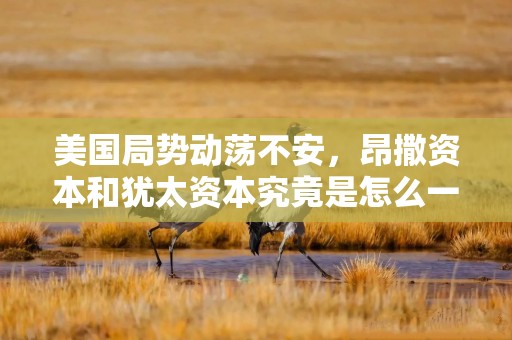 美国局势动荡不安，昂撒资本和犹太资本究竟是怎么一回事呢？