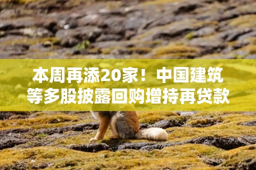 本周再添20家！中国建筑等多股披露回购增持再贷款计划，相关A股名单一览