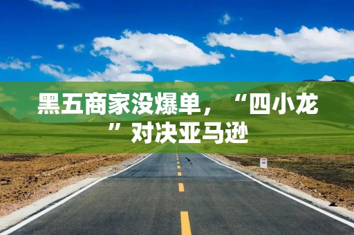 黑五商家没爆单，“四小龙”对决亚马逊