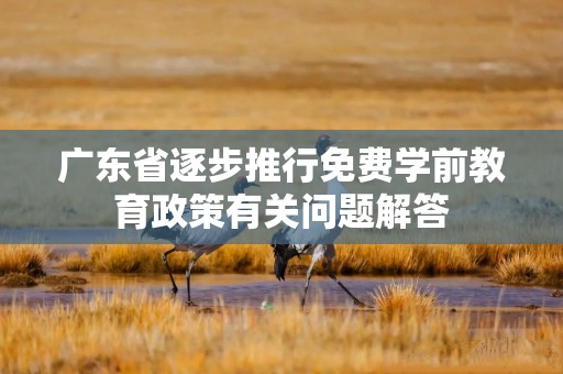 广东省逐步推行免费学前教育政策有关问题解答