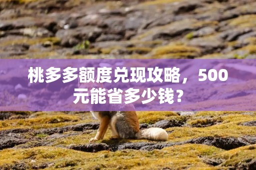 桃多多额度兑现攻略，500元能省多少钱？