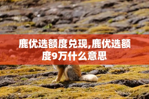 鹿优选额度兑现,鹿优选额度9万什么意思