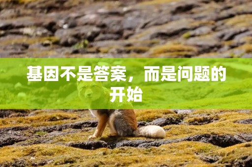 基因不是答案，而是问题的开始