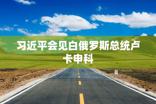 习近平会见白俄罗斯总统卢卡申科