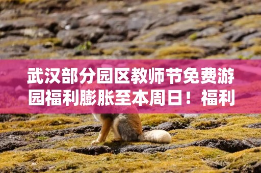武汉部分园区教师节免费游园福利膨胀至本周日！福利拉满，亦拉动内需
