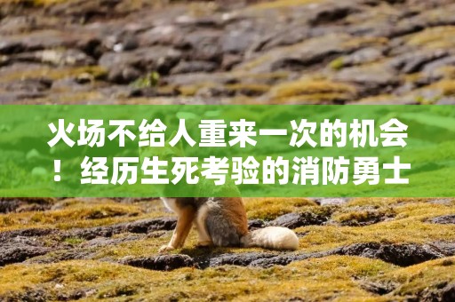 火场不给人重来一次的机会！经历生死考验的消防勇士永远冲锋在前