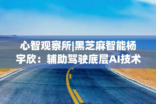 心智观察所|黑芝麻智能杨宇欣：辅助驾驶底层AI技术仍需解决