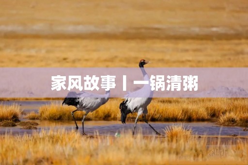 家风故事丨一锅清粥