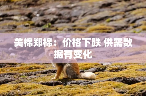美棉郑棉：价格下跌 供需数据有变化