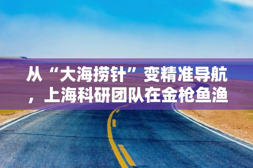 从“大海捞针”变精准导航，上海科研团队在金枪鱼渔业领域取得多项创新突破