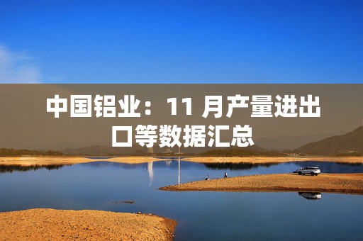中国铝业：11 月产量进出口等数据汇总