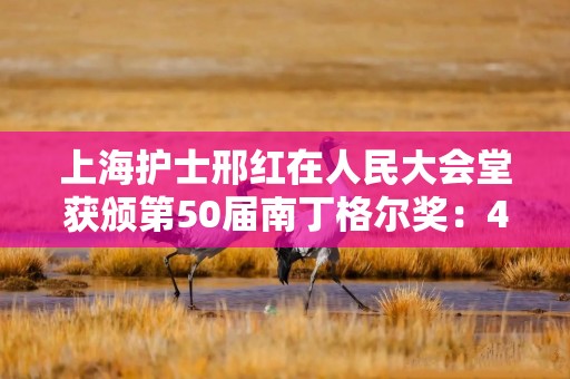 上海护士邢红在人民大会堂获颁第50届南丁格尔奖：40年只为让患者露出笑容