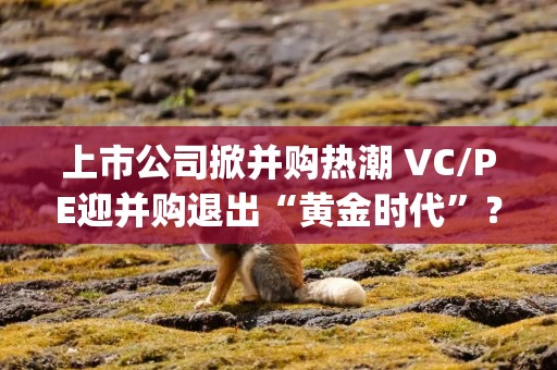 上市公司掀并购热潮 VC/PE迎并购退出“黄金时代”？|2024年终盘点