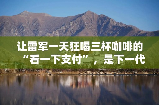 让雷军一天狂喝三杯咖啡的“看一下支付”，是下一代AI交互入口吗？