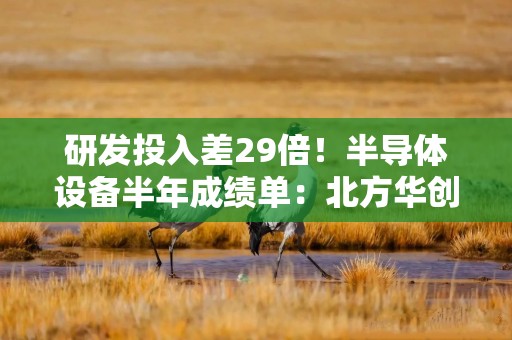 研发投入差29倍！半导体设备半年成绩单：北方华创稳坐头把交椅 细分赛道搏杀白热化