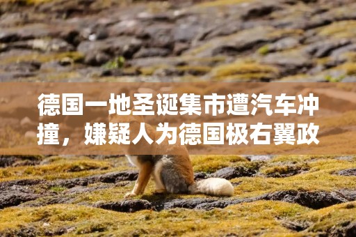 德国一地圣诞集市遭汽车冲撞，嫌疑人为德国极右翼政党支持者