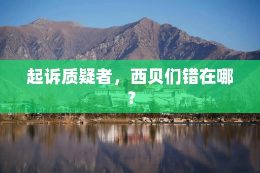 起诉质疑者，西贝们错在哪？