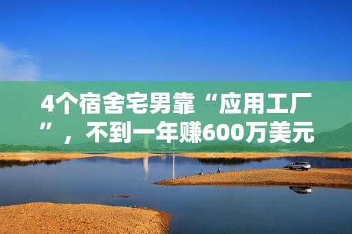 4个宿舍宅男靠“应用工厂”，不到一年赚600万美元
