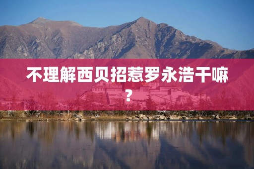 不理解西贝招惹罗永浩干嘛？