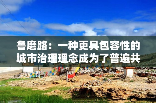鲁磨路：一种更具包容性的城市治理理念成为了普遍共识