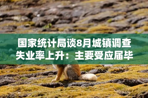 国家统计局谈8月城镇调查失业率上升：主要受应届毕业生集中离校进入劳动力市场影响