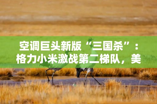空调巨头新版“三国杀”：格力小米激战第二梯队，美的稳居王座？